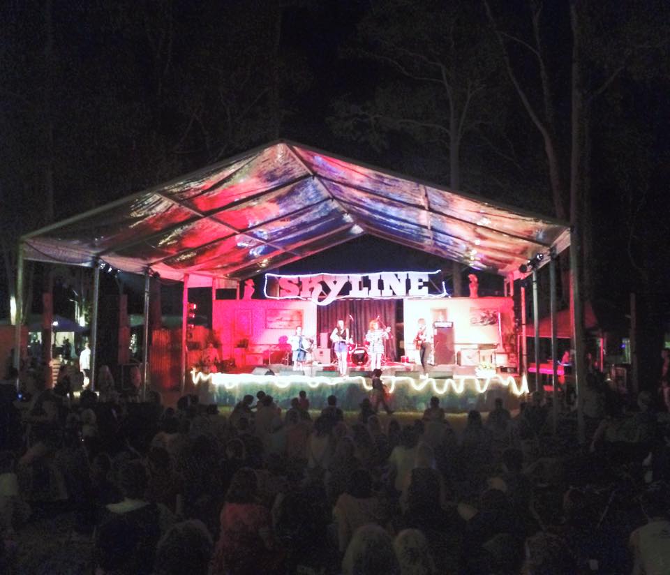 Great day at the Dashville Skyline festival! Earlier set with Chris Pickering...